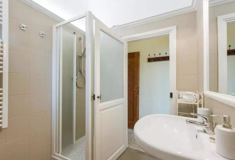 Proconsolo 9s