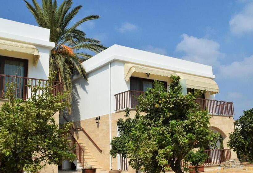 پانسیون Golden Palms Guest House & Cafe