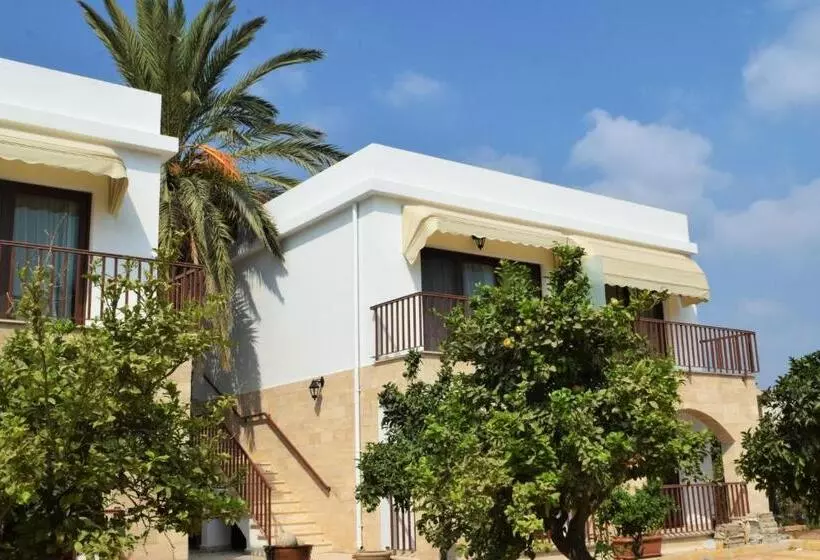 پانسیون Golden Palms Guest House & Cafe