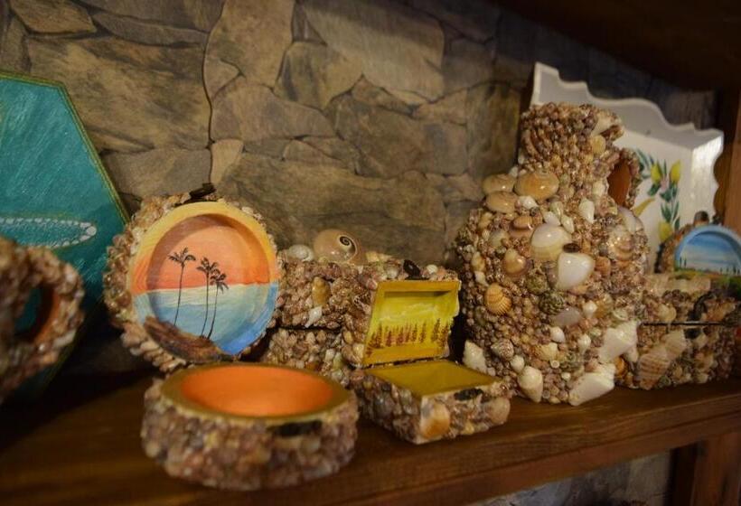 پانسیون Golden Palms Guest House & Cafe