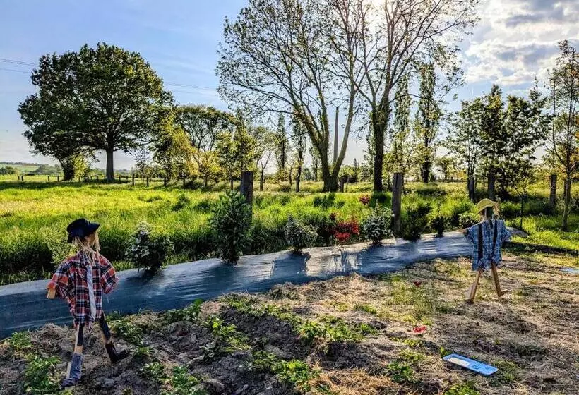 Aamiaismajoitus (B&B) Chambres D Hôtes Chez L Habitant   Bed& Breakfast Homestay