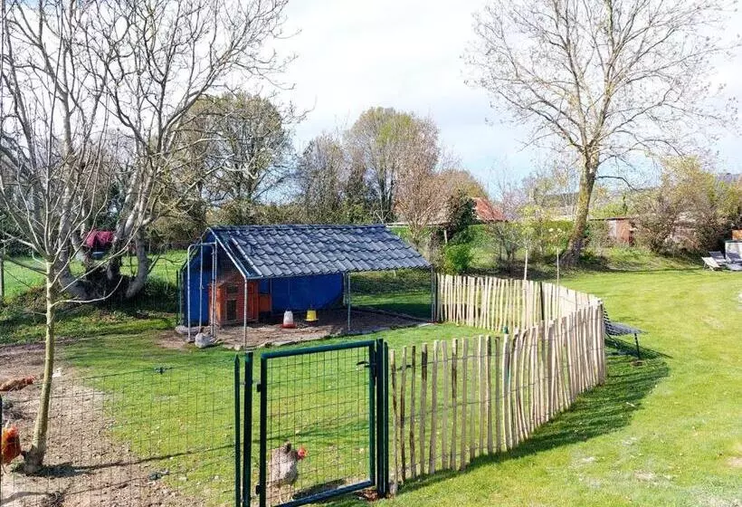 Aamiaismajoitus (B&B) Chambres D Hôtes Chez L Habitant   Bed& Breakfast Homestay