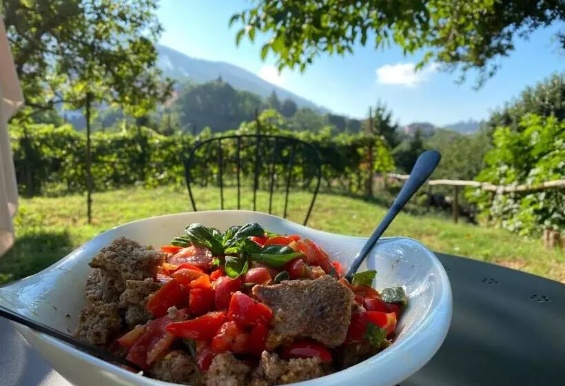 هتل Tenuta Novecento Bioagriturismo