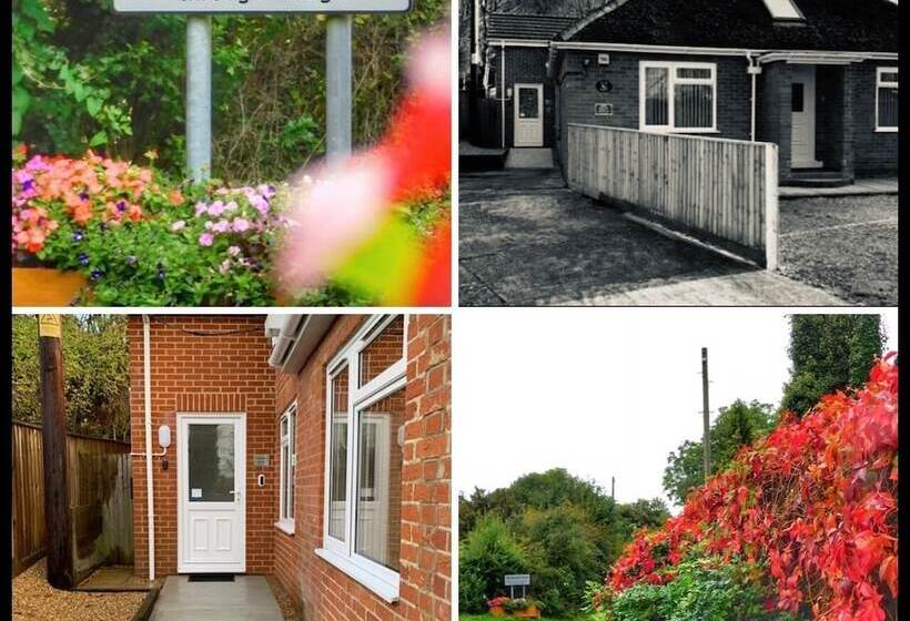 ベッドアンドブレックファースト The Annexe @ Elmbank   Adults Only