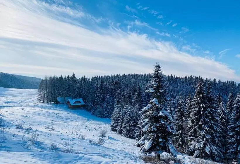 Aamiaismajoitus (B&B) Vila Ambiente Donovaly