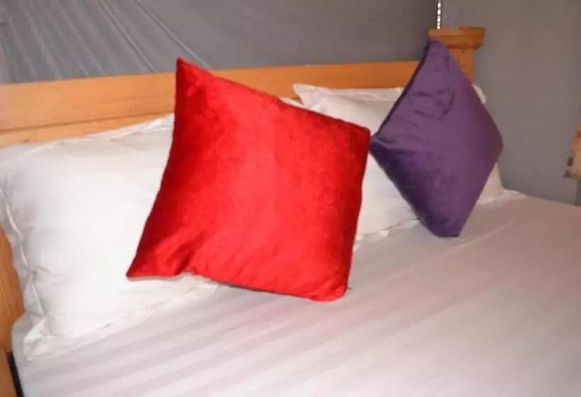 تختخواب و صبحانه Mondi Lodge Kisoro