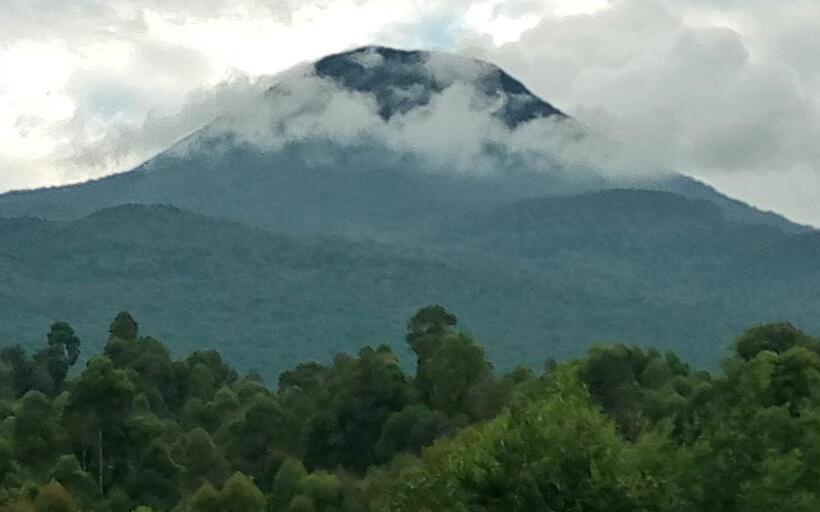 تختخواب و صبحانه Mondi Lodge Kisoro