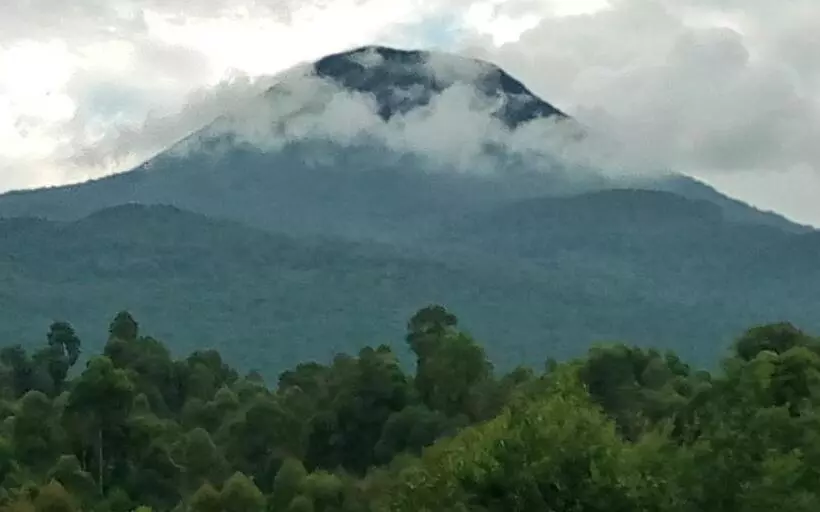 تختخواب و صبحانه Mondi Lodge Kisoro