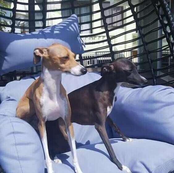 تختخواب و صبحانه Sunset Inn Churasun