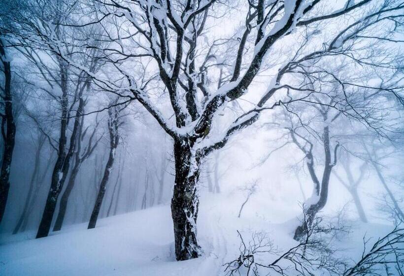 Bed & Breakfast The Joint