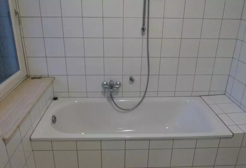 هتل Zur Mühle