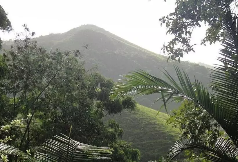 ペンション Petar Pousada Núcleo Terra Iporanga