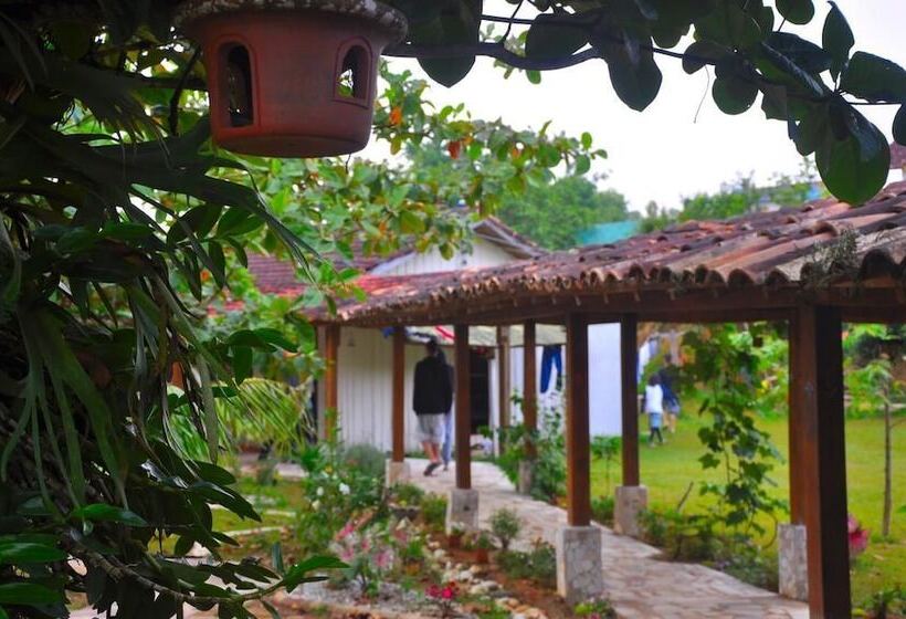 פנסיון Petar Pousada Núcleo Terra Iporanga