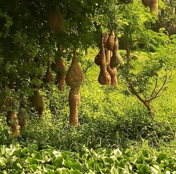 Курорт Aqua House Hotel Yala