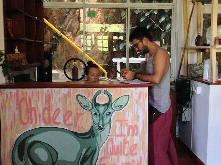 Alberg Funk Bunk   Mount View Lodge