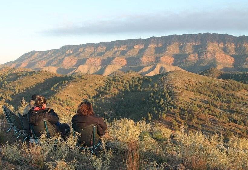 酒店 Arkaba Homestead