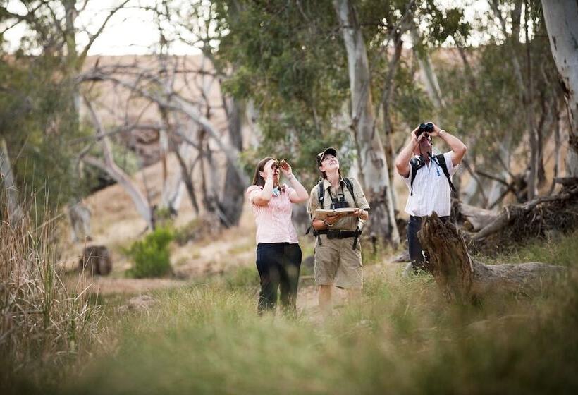 酒店 Arkaba Homestead