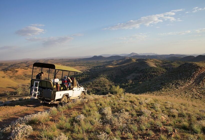 酒店 Arkaba Homestead