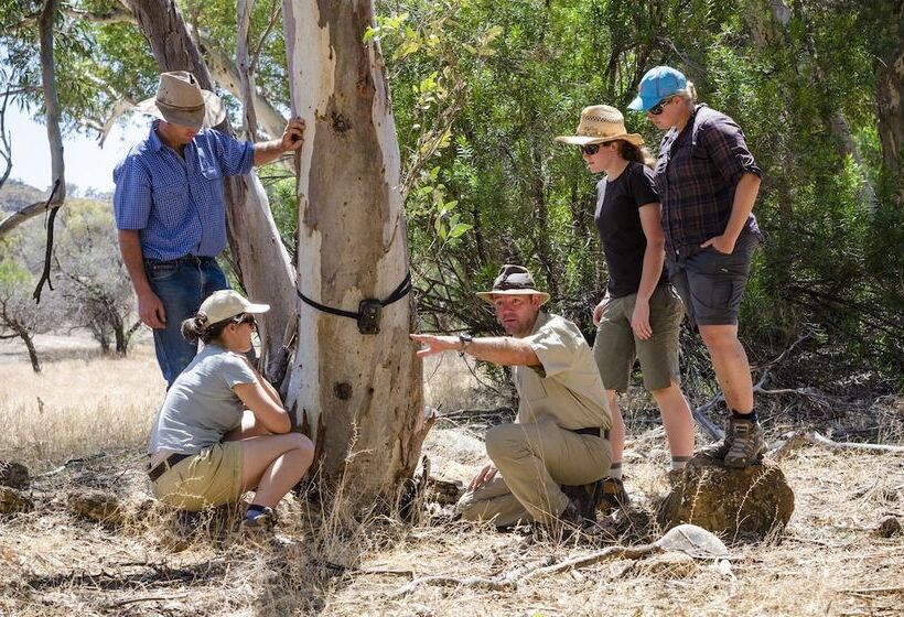 酒店 Arkaba Homestead