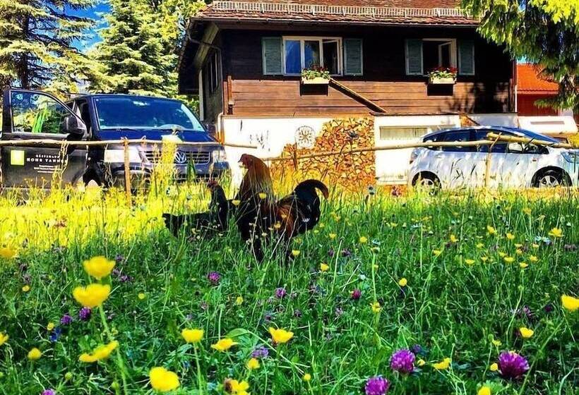 Pensão Gästehaus Hohe Tannen