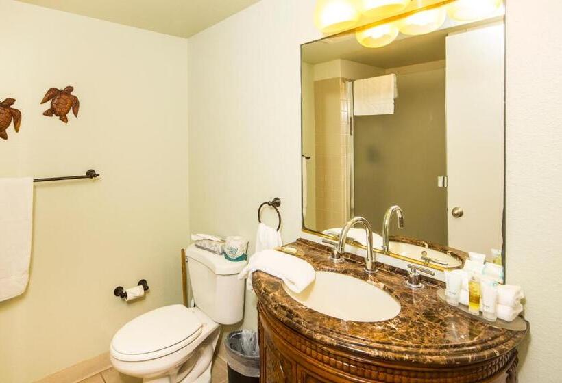 Szálloda Castle At Makahūena At Po Ipū