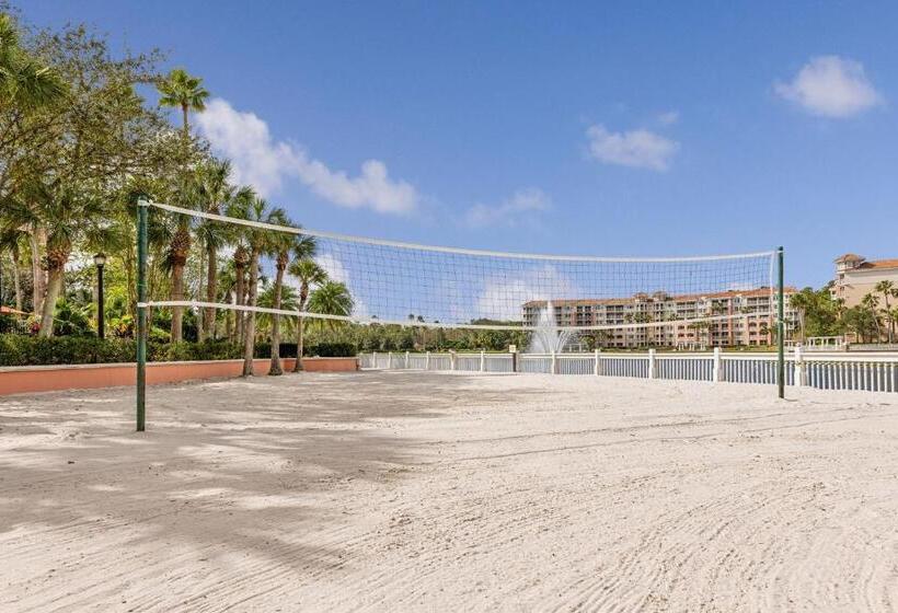 فندق Marriott's Grande Vista