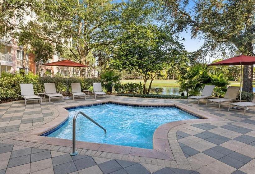 فندق Marriott's Grande Vista