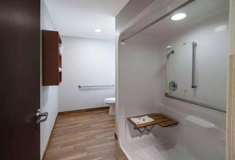 Microtel Inn & Suites By Wyndham Savannah/pooler