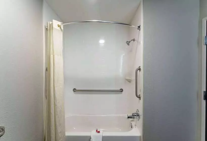 Microtel Inn & Suites By Wyndham Savannah/pooler