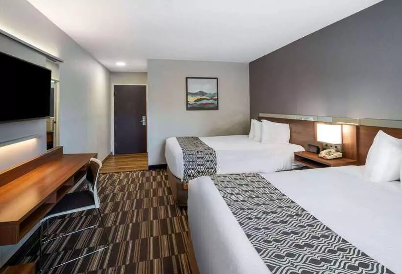 Microtel Inn & Suites By Wyndham Savannah/pooler