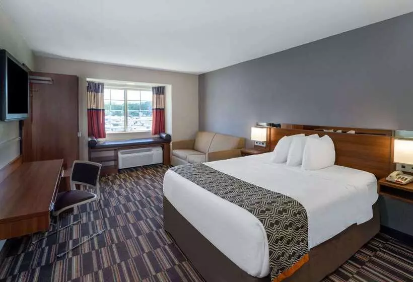 Microtel Inn & Suites By Wyndham Savannah/pooler