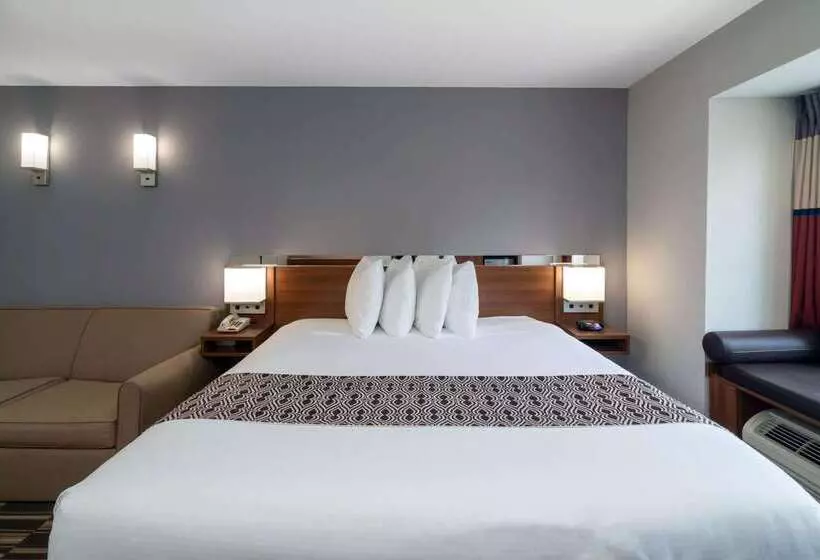 Microtel Inn & Suites By Wyndham Savannah/pooler