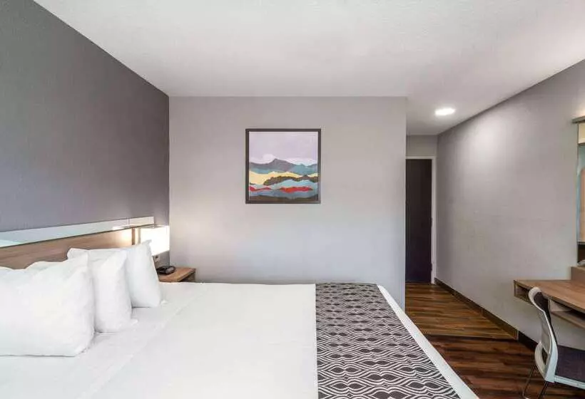 Microtel Inn & Suites By Wyndham Savannah/pooler