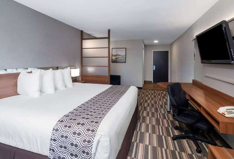 Microtel Inn & Suites By Wyndham Savannah/pooler