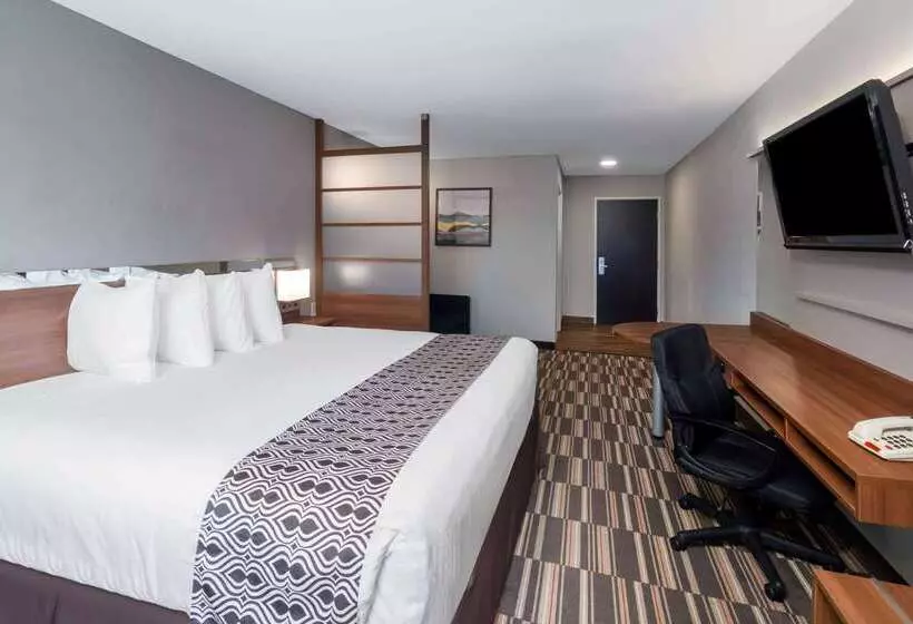 Microtel Inn & Suites By Wyndham Savannah/pooler