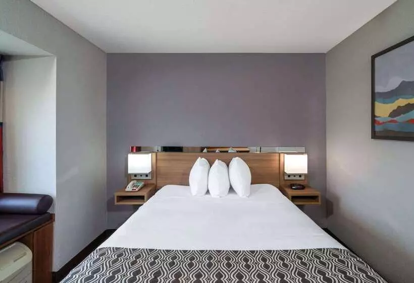 Microtel Inn & Suites By Wyndham Savannah/pooler