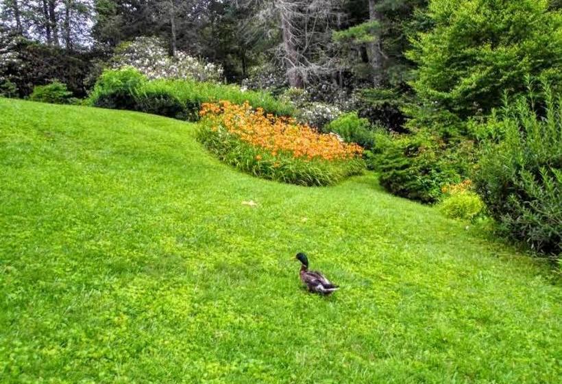 Motelli Mitchells Lodge And Cottages