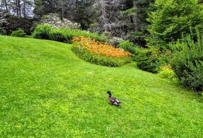 モーテル Mitchells Lodge And Cottages