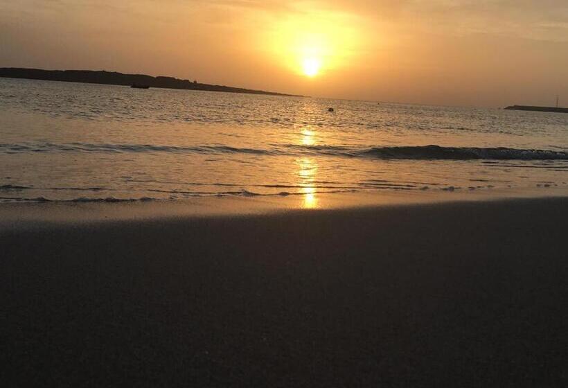 تختخواب و صبحانه Nos Kasa