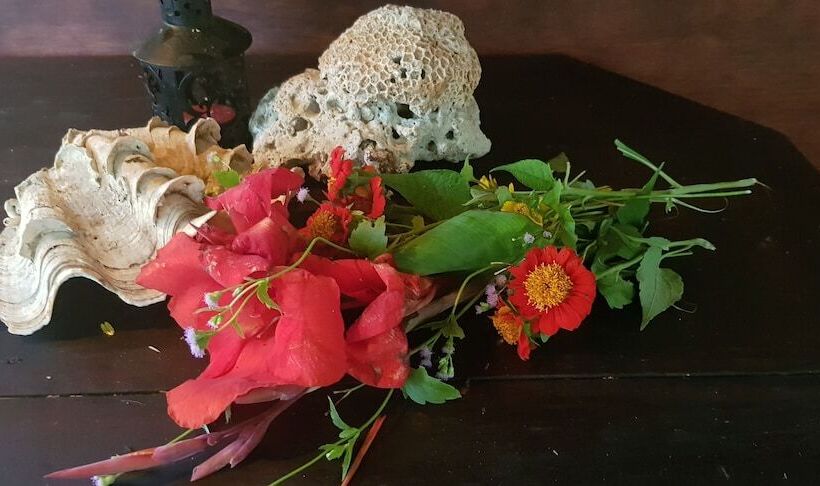 Cupido Beach Spa Resort