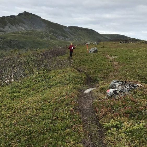 Пансион Havsula Cafe Og Vertshus