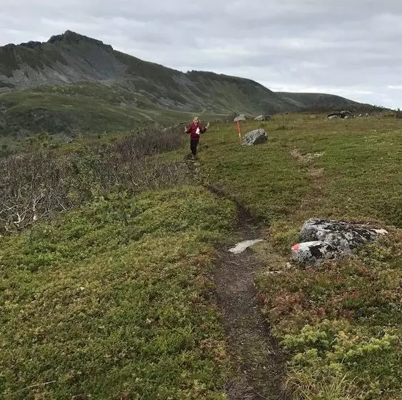 Majatalo Havsula Cafe Og Vertshus