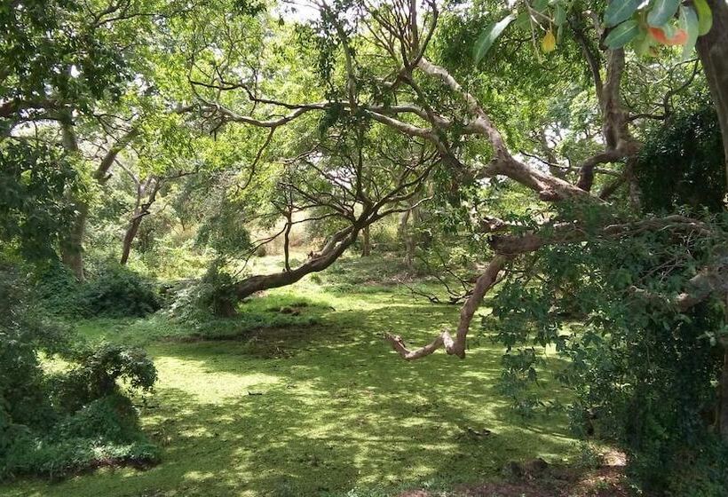 פנסיון Nilaveli Beach Rooms