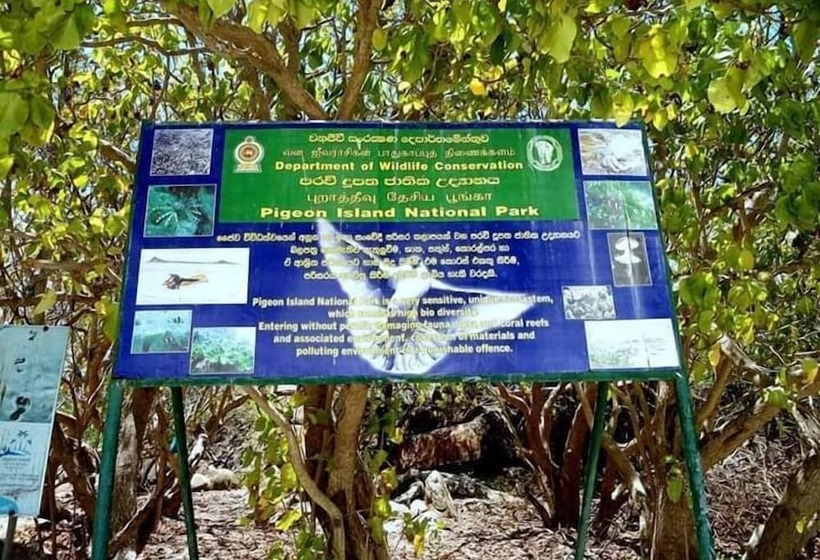 פנסיון Nilaveli Beach Rooms