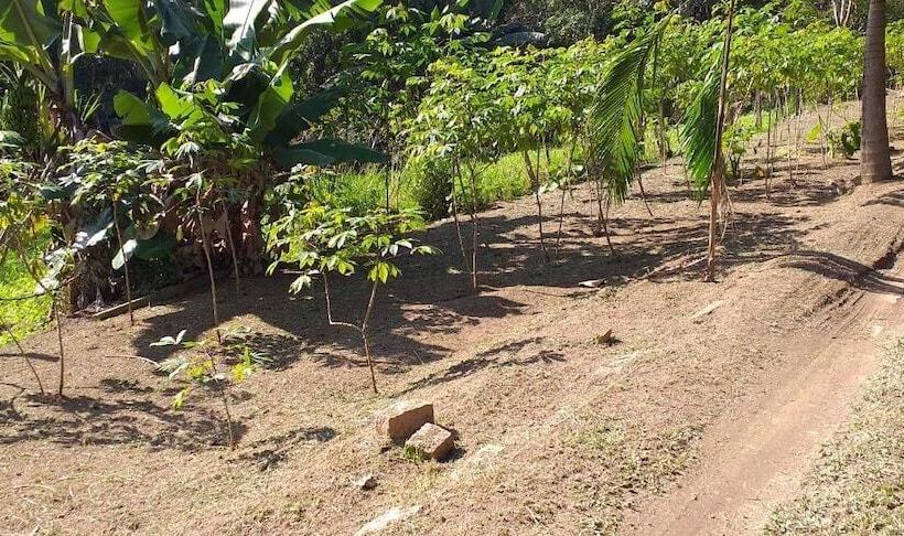 Espaço Uniflora Eventos