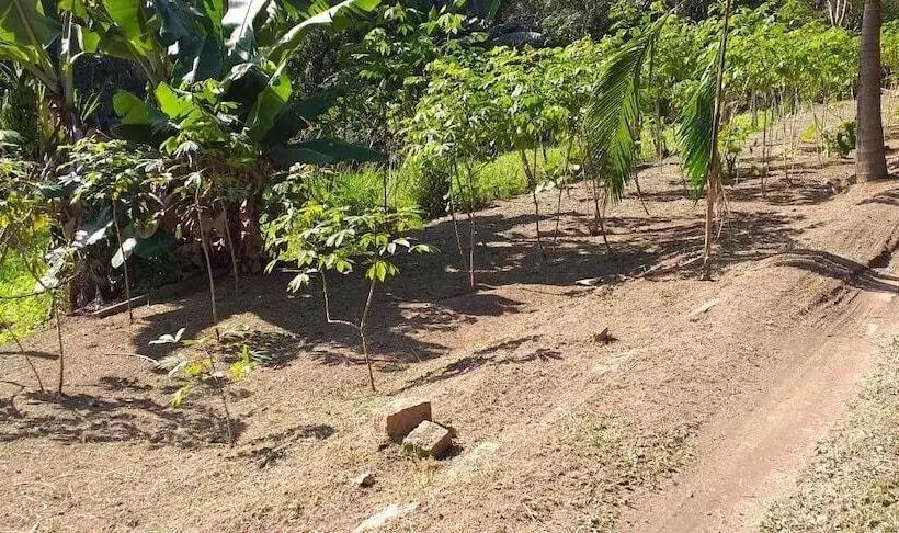 Espaço Uniflora Eventos