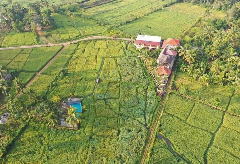פנסיון Nelu Villa Sigiriya
