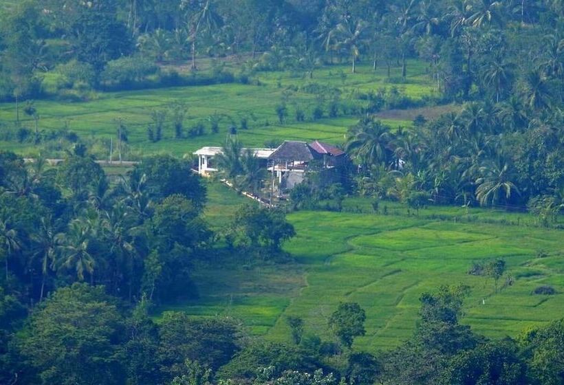 פנסיון Nelu Villa Sigiriya