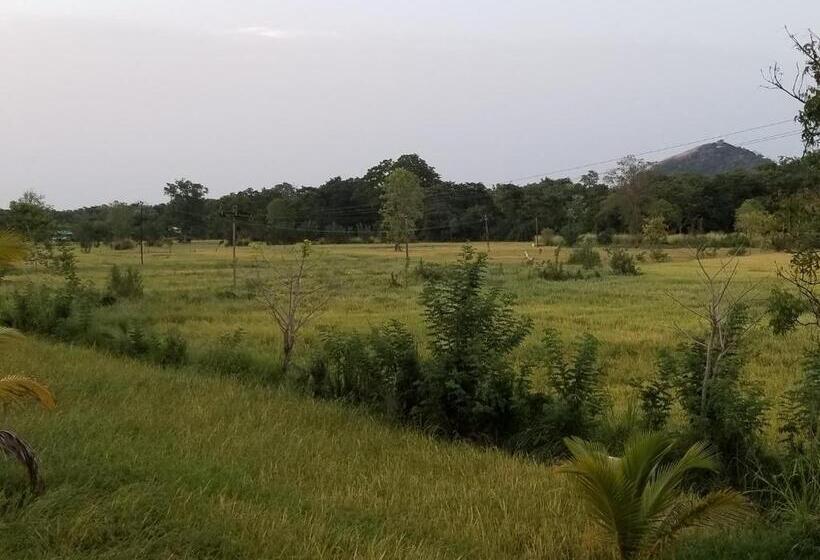 פנסיון Nelu Villa Sigiriya