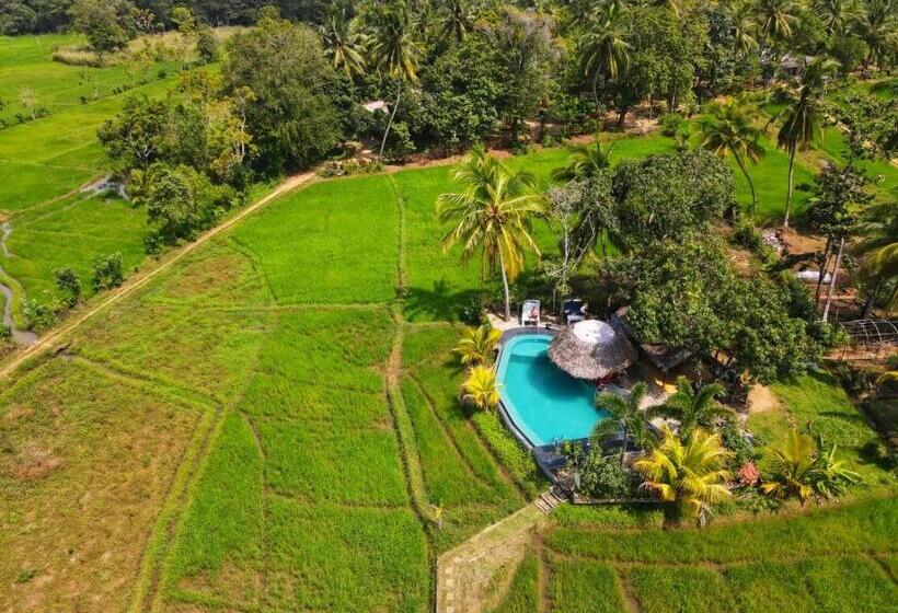 פנסיון Nelu Villa Sigiriya